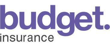 Ins-BudgetLogo.png