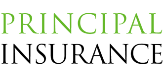 Ins-PrincipalInsurance.png